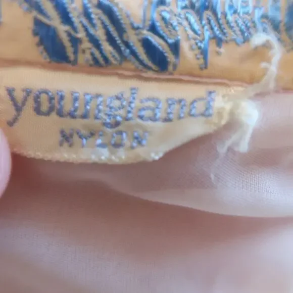 Vintage 50s JW Robinson Youngland Nylon Sheer Pink Peter Pan Collar Party Dress - Picture 6 of 8